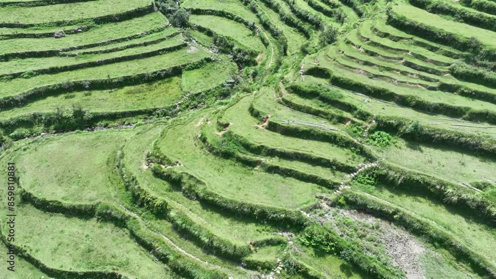 Aerial view of terraced fields in China, lush greenery with intricate patterns. Aerial view of terraced fields in China, lush greenery with intricate patterns.