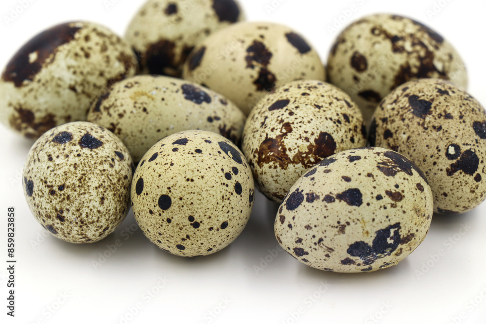 quail eggs on white background quail eggs on white background