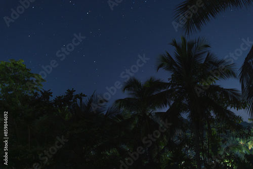 Starry Night Sky Over Tropical Palm Trees