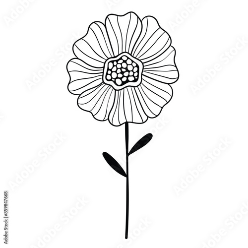 Hand drawn simple flower outline