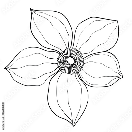 Hand drawn simple flower outline