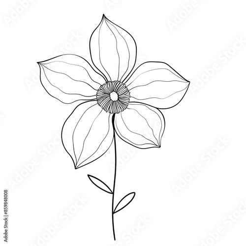 Hand drawn simple flower outline