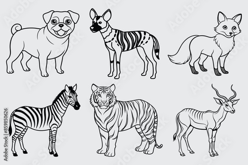Print 6 Wild life animals vector illustration