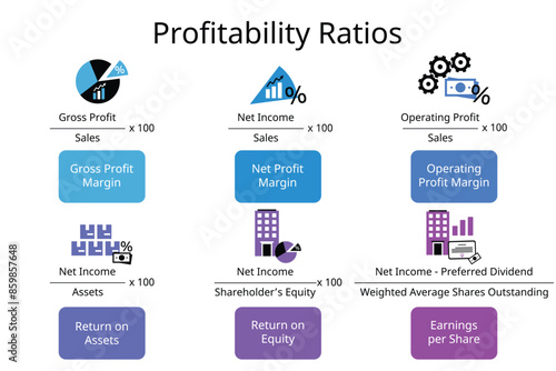 Profitability Ratios Formula for gross profit margin, net profit margin, operating profit, roa, roe, eps