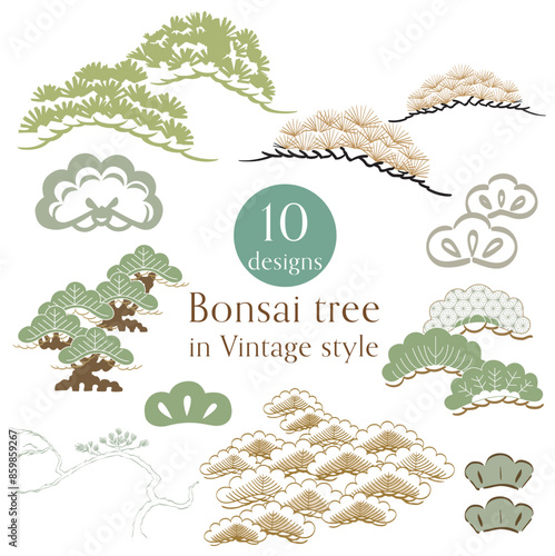 Set of green and brown hand drawn branch of bonsai tree in Japnese style vector. Oriental pine tree decoration with logo design, flyer or presentation in vintage style.