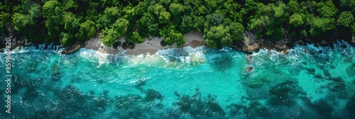 Aerial View of a Tropical Beach