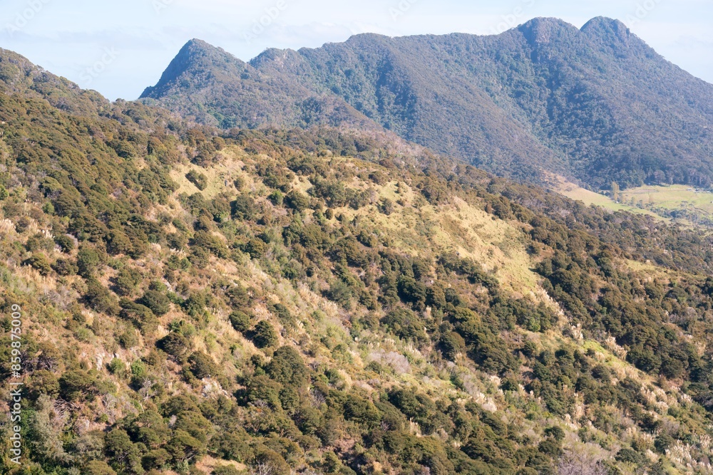 Bream Head (Te Whara) Scenic Reserve landscape Bream Head (Te Whara) Scenic Reserve landscape