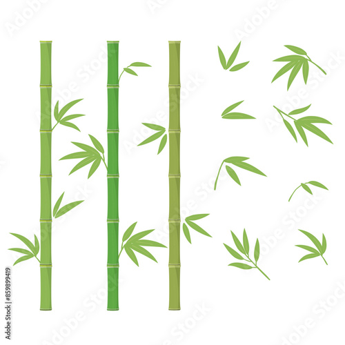 Green bamboo illustration, Vector design elements set.