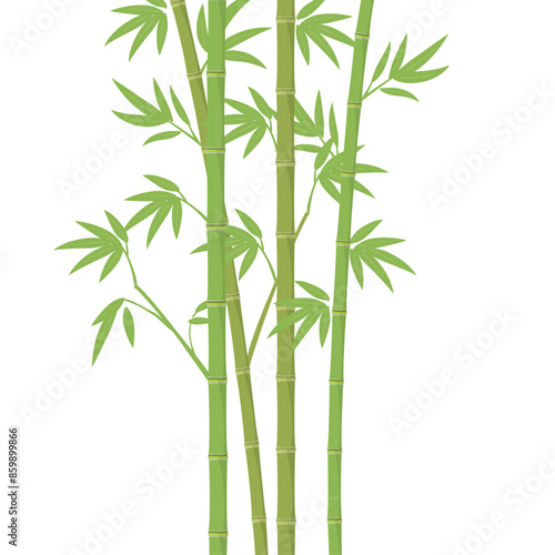 Vector green bamboo illustration