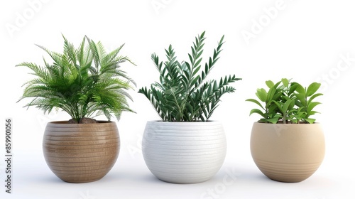 A 3D rendering of three potted plants. 