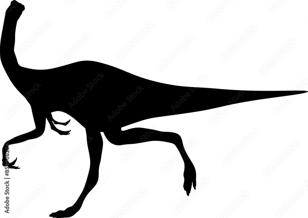 Fototapeta premium Detailed Gallimimus vector silhouette, Jurassic era dinosaurs symbol.