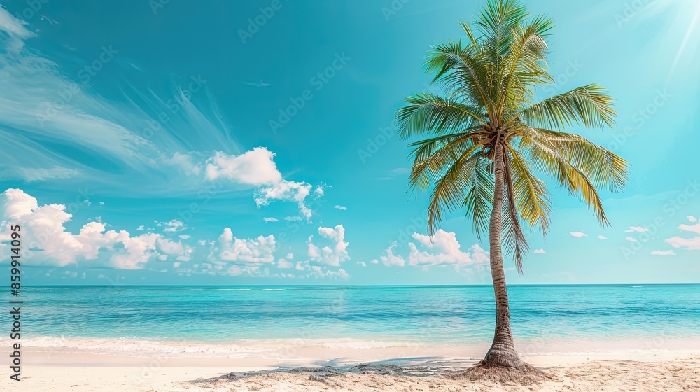 Obraz premium Beautiful palm tree on tropical island beach on background blue sky with white clouds