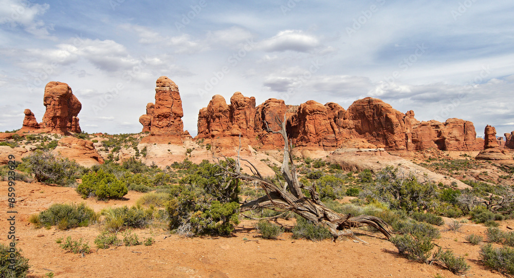 Fototapeta premium Utah USA, red rock landscape and wild nature.