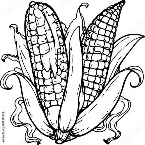 sweetcorn, corn, food, illustration, vector, vegetable, cob, nature, maize, plant, agriculture, healthy, cartoon, organic, design, leaf, crop, fresh, yellow, icon, drawing, grain, art, vegetarian, die