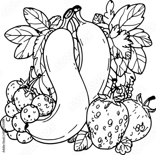 coloring book, grape, wine, vine, leaf, fruit, vector, plant, food, illustration, grapes, nature, pattern, bunch, flower, floral, autumn, design, agriculture, branch, drawing, berry, vintage, green, d