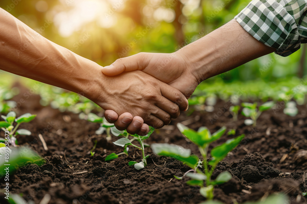 Handshake between farmer and certification official, commitment to organic farming principles. Handshake between farmer and certification official, commitment to organic farming principles.