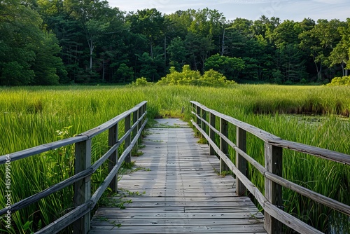 Wooden Bridge Leading Through Lush Green Grass © Fitry