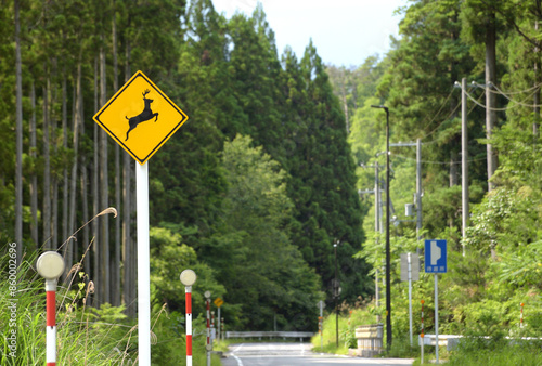 	シカ飛び出し注意の道路標識