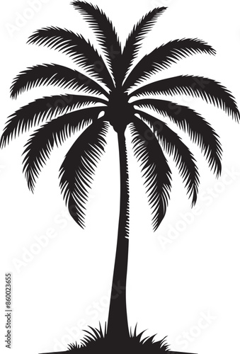 A Palm Tree Silhouette of vector illustration