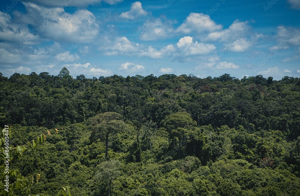 Fototapeta premium Traveling