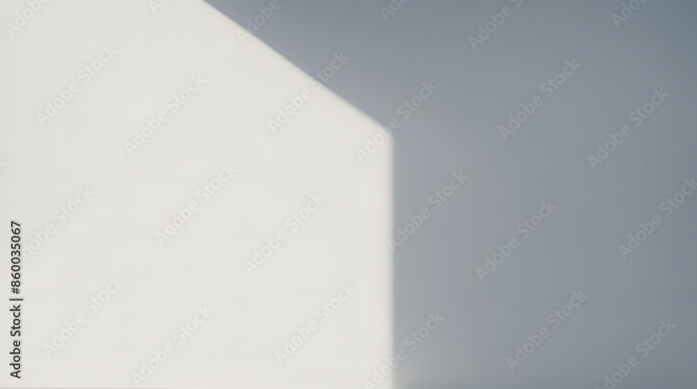 A white wall with a shadow on it. Abstract realistic shadow overlay on the wall A white wall with a shadow on it. Abstract realistic shadow overlay on the wall