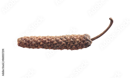 Java long pepper isolated on white, close up