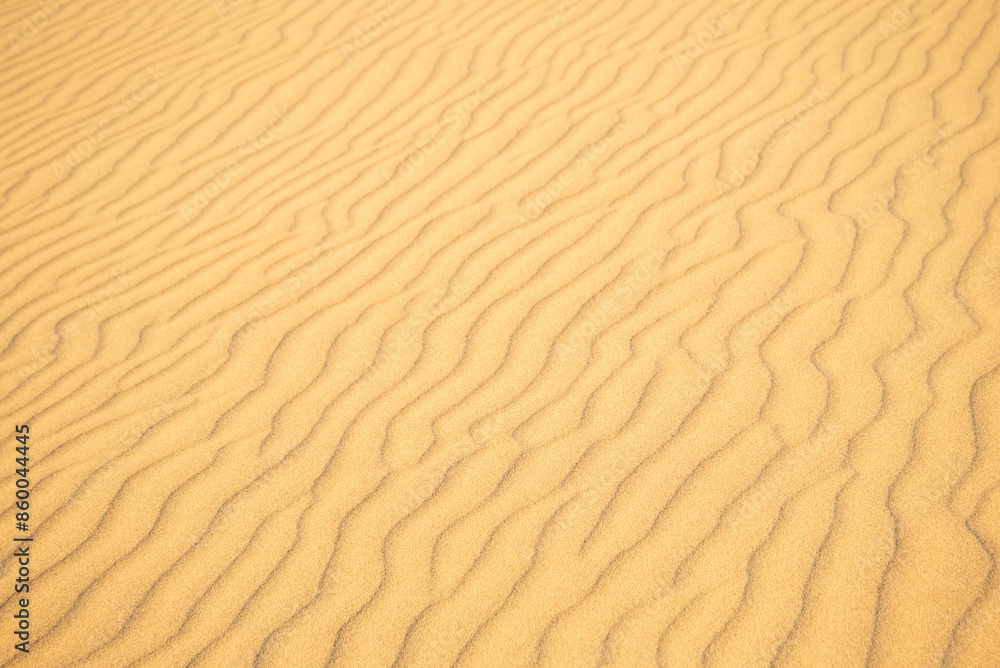 鳥取砂丘の美しい風景Beautiful scenery of Tottori Sand Dunes in Japan 鳥取砂丘の美しい風景Beautiful scenery of Tottori Sand Dunes in Japan