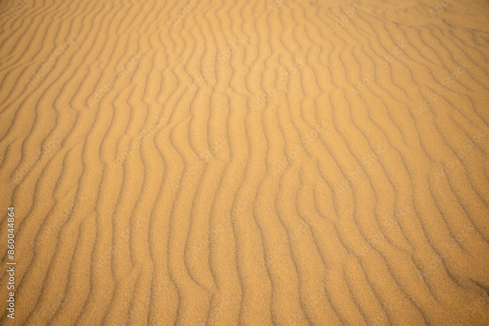 鳥取砂丘の美しい風景Beautiful scenery of Tottori Sand Dunes in Japan 鳥取砂丘の美しい風景Beautiful scenery of Tottori Sand Dunes in Japan