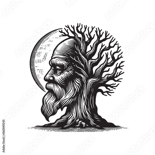 An old tree with an old man's face. Vintage vector engraving illustration. cut out, isolated. Black white