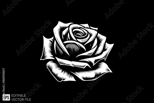 Illustration of rose black and white vector design