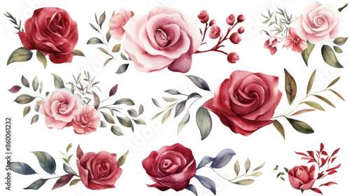 Set of watercolor rose painting isolated on clear png background and transparent background. Fresh and nature concept for nature decorative and flower element, AI generative.