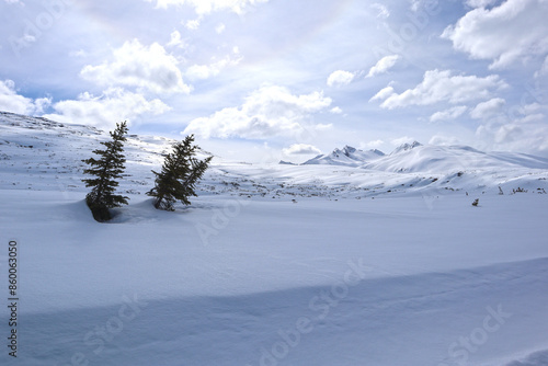 snow covered mountains