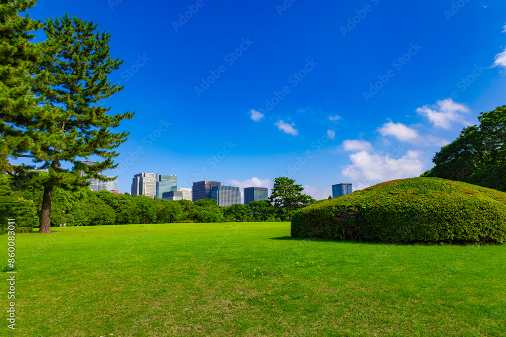 皇居東御苑・江戸城跡の公園の木々越しに見える、都会・丸ノ内・大手町・日比谷のビル(東京都千代田区) 皇居東御苑・江戸城跡の公園の木々越しに見える、都会・丸ノ内・大手町・日比谷のビル(東京都千代田区)