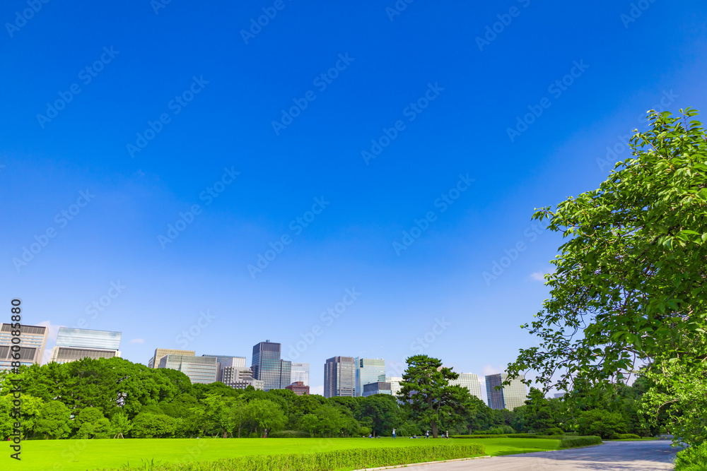 皇居東御苑・江戸城跡の公園の木々越しに見える、都会・丸ノ内・大手町・日比谷のビル(東京都千代田区) 皇居東御苑・江戸城跡の公園の木々越しに見える、都会・丸ノ内・大手町・日比谷のビル(東京都千代田区)
