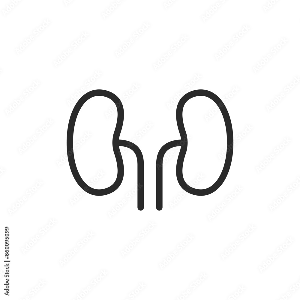 Kidneys, linear style icon. Editable stroke width Kidneys, linear style icon. Editable stroke width
