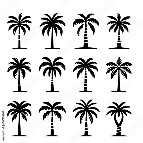 Palm tree set vector illustration isolated on white background © Alienalgorithm