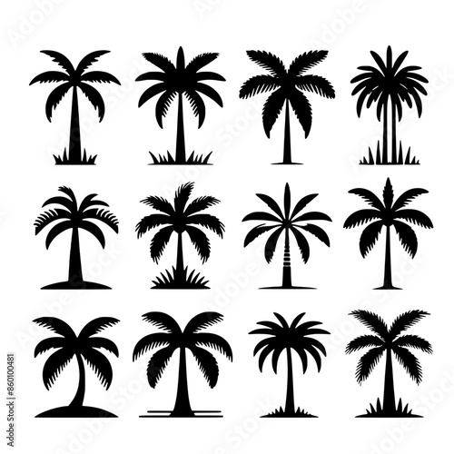 Palm tree set vector illustration isolated on white background © Alienalgorithm