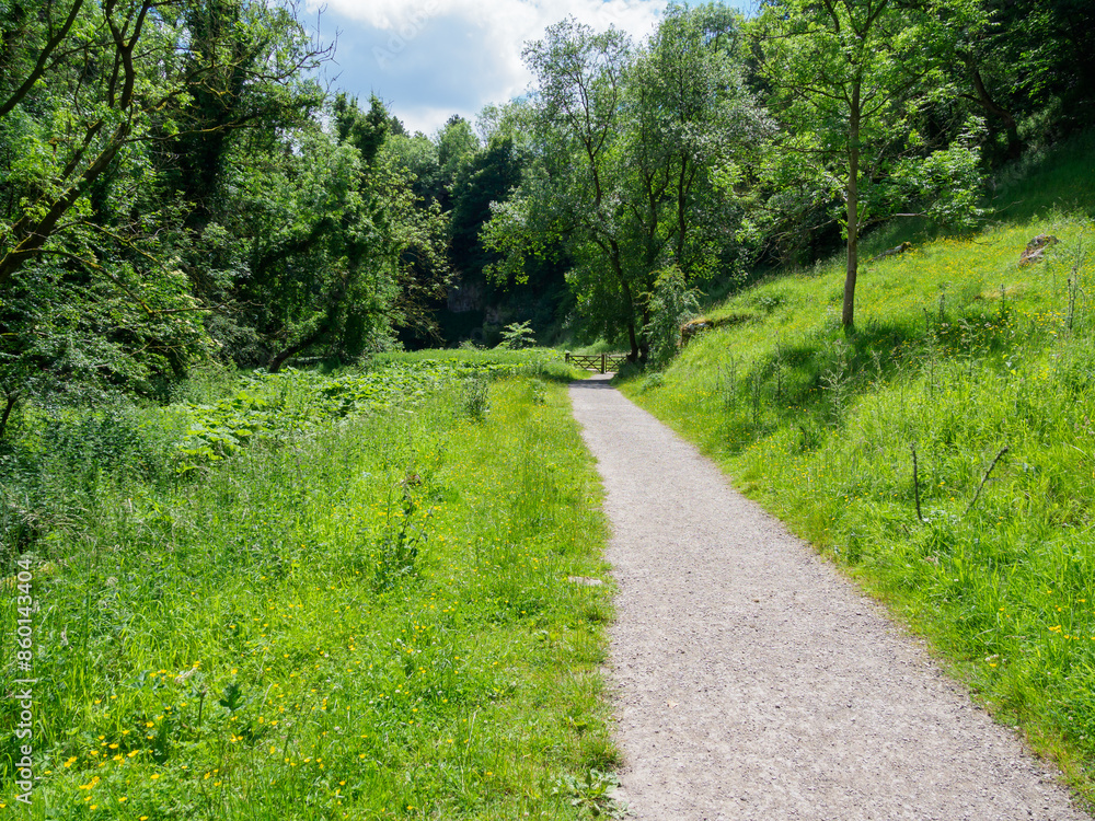 Obraz premium Serene dirt path through lush green park on a sunny summer day with clear blue sky.