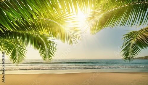 photo of sun rays passing through the lush green palm tree leaves beach summer concept background © Victor
