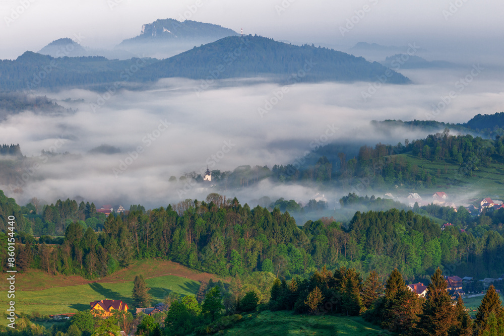 Fototapeta premium Mglisty poranek w Pieninach. Widok na Jaworki i Trzy Korony