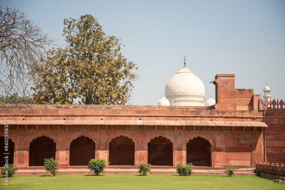Fototapeta premium 人生で一度は行ってみたいタージマハルのとても美しい風景The beautiful scenery of the Taj Mahal that you should visit at least once in your life