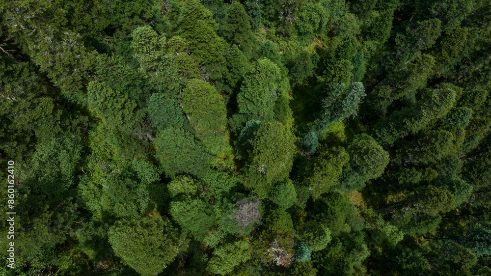 Aerial view of beautiful high altitude forest mountain landscape Aerial view of beautiful high altitude forest mountain landscape