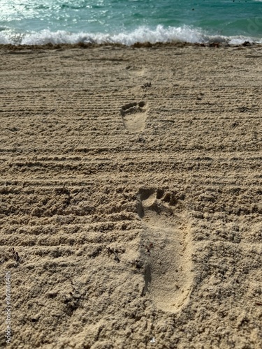 Footprints in the sand that lead to the sea.