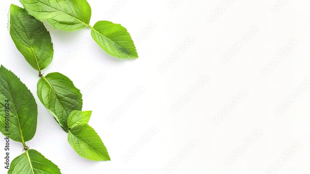 Pure White Background: Seamless and Minimalist Design Element for Creative Projects and Visual Presentations Pure White Background: Seamless and Minimalist Design Element for Creative Projects and Visual Presentations