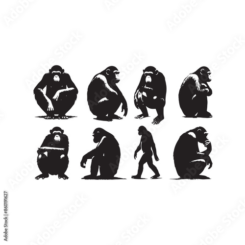 Beautiful ape silhouette for any creative project - ape illustration - minimalist ape vector
 photo