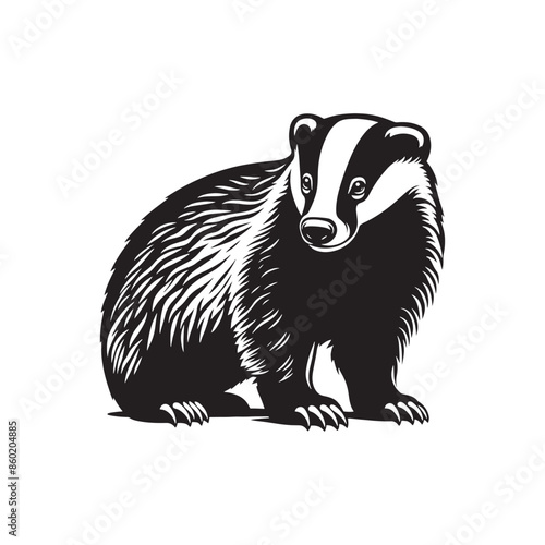 Detailed badger silhouette for any purpose - badger black vector
