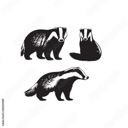 Badger silhouette for modern artistic work - badger illustration - minimalist badger vector
