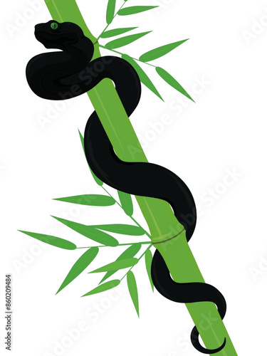 Black snake on green bamboo stem composition illustration photo