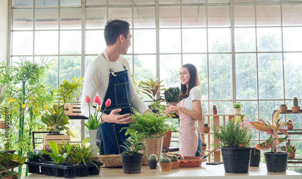 Portrait gardener young asian man woman two person standing smiling looking hand holding help decorate tree leaf green in calm work in room shop home plant white wall. hobby job happy and care concept Portrait gardener young asian man woman two person standing smiling looking hand holding help decorate tree leaf green in calm work in room shop home plant white wall. hobby job happy and care concept