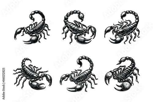 set of scorpions illustration. hand drawn scorpion in black and white vector illustration, isolated white background